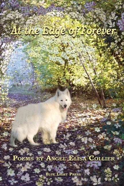 At The Edge Of Forever - Paperback