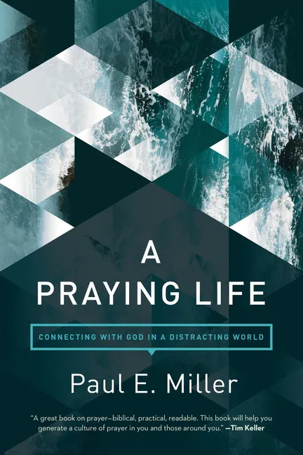 A Praying Life: Connecting with God in a Distracting World - Paperback