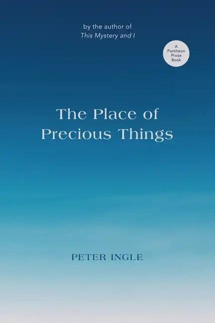 The Place of Precious Things - Paperback