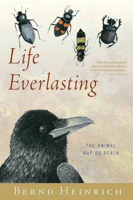 Life Everlasting: The Animal Way of Death - Paperback
