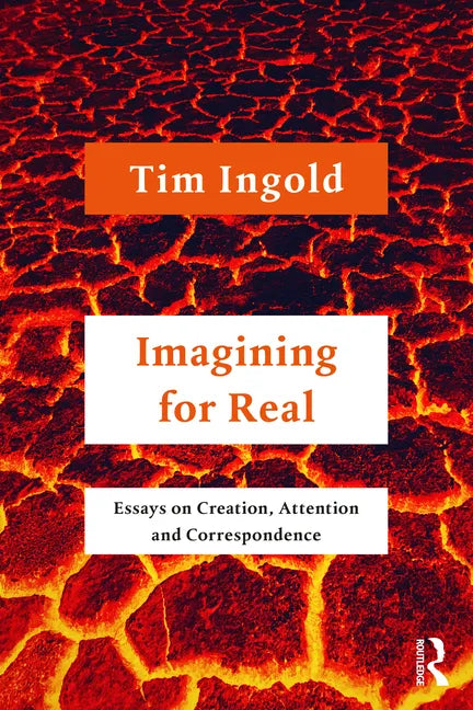 Imagining for Real: Essays on Creation, Attention and Correspondence - Paperback