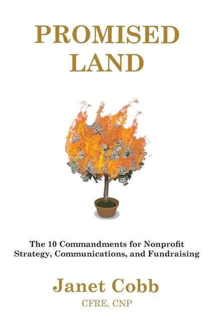 Promised Land: The 10 Commandments for Nonprofit Strategy, Communications, and Fundraising - Paperback