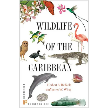 Wildlife of the Caribbean - Paperback