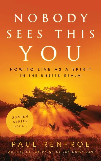 Nobody Sees This You: How to Live as a Spirit in the Unseen Realm - Hardcover