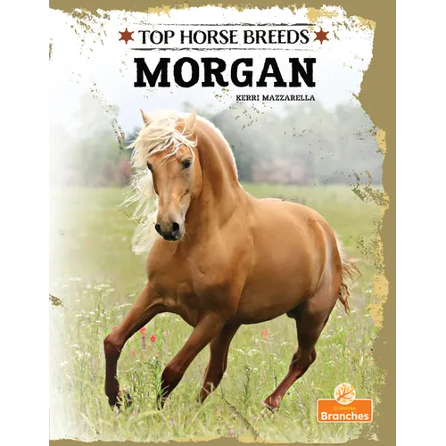 Morgan - Paperback