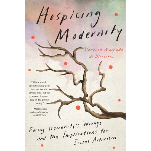 Hospicing Modernity: Facing Humanity's Wrongs and the Implications for Social Activism - Paperback