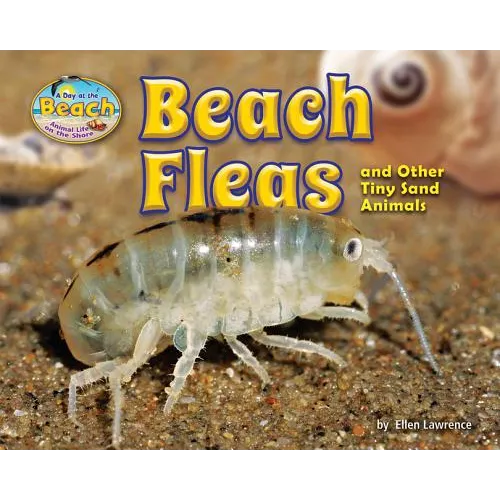 Beach Fleas and Other Tiny Sand Animals - Library Binding