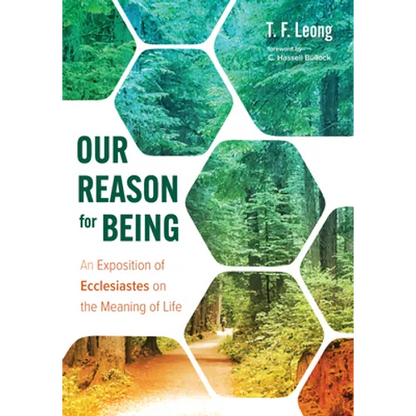 Our Reason for Being: An Exposition of Ecclesiastes on the Meaning of Life - Paperback