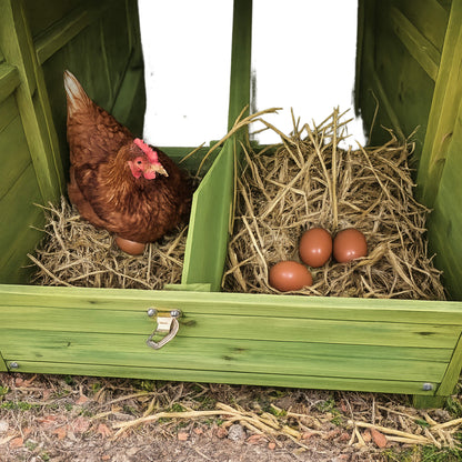 70-Inch Wooden Chicken Coop With Nesting Box, Perch, And Run Doors (SAK74619)