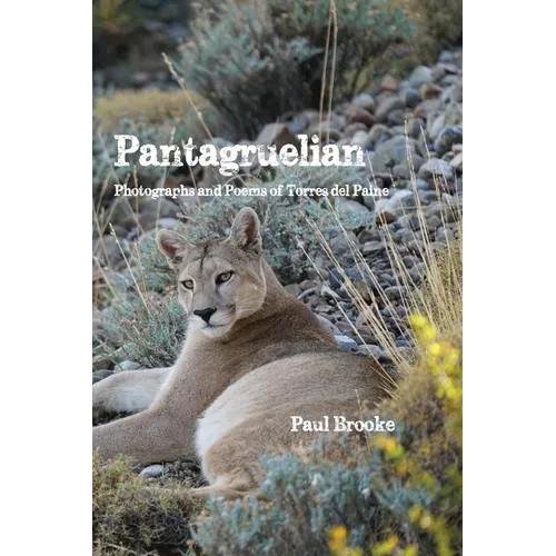 Pantagruelian: Photographs and Poems of Torres del Paine - Paperback