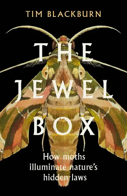 The Jewel Box: How Moths Illuminate Nature's Hidden Rules - Hardcover