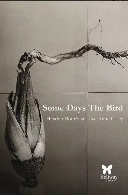 Some Days the Bird - Paperback