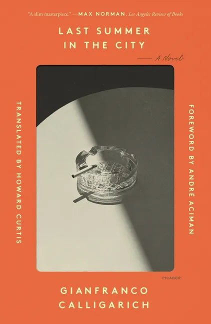 Last Summer in the City - Paperback