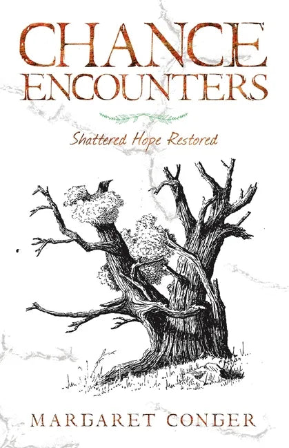Chance Encounters: Shattered Hope Restored - Paperback