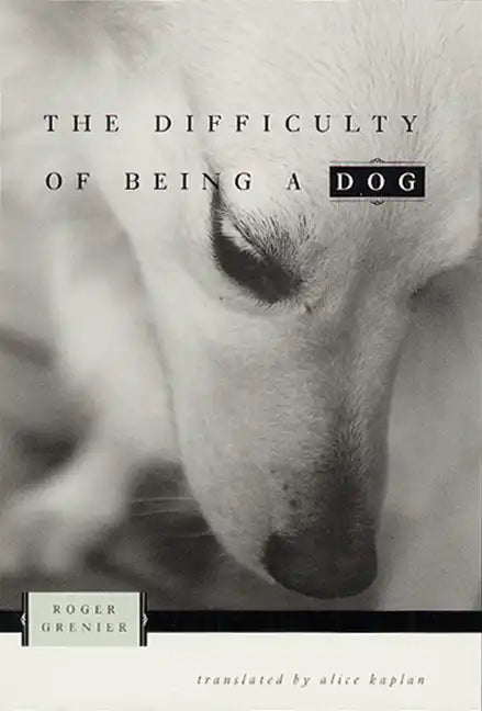 The Difficulty of Being a Dog - Paperback