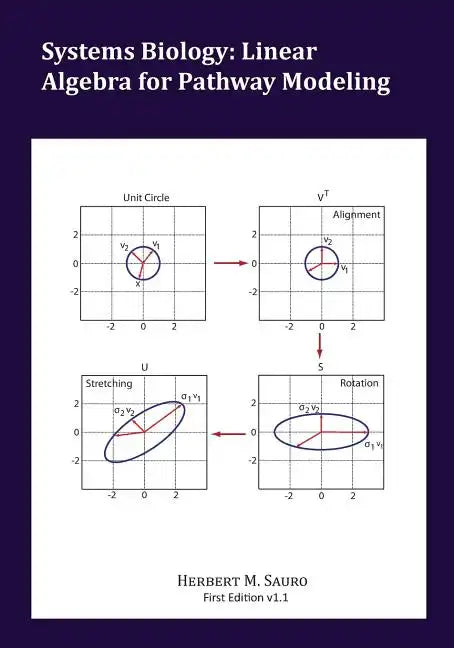 Systems Biology: Linear Algebra for Pathway Modeling - Paperback