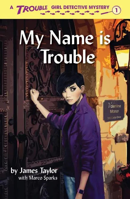 My Name is Trouble - Paperback