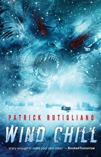 Wind Chill - Paperback