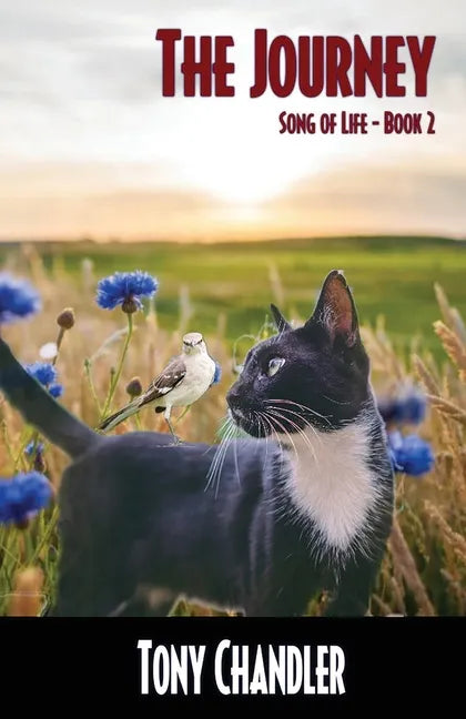 The Journey (Song of LIfe - Book 2) - Paperback