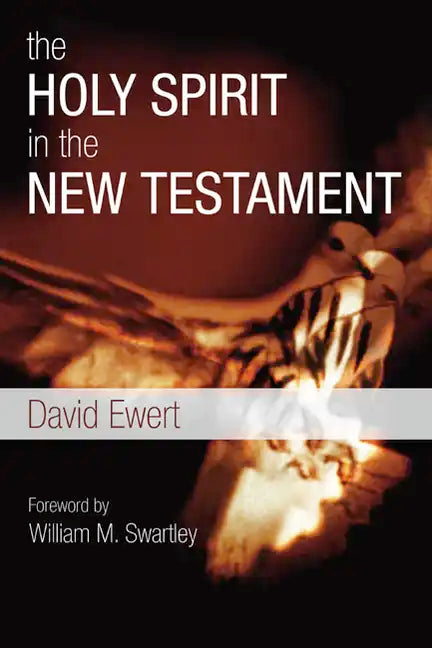 The Holy Spirit in the New Testament - Paperback