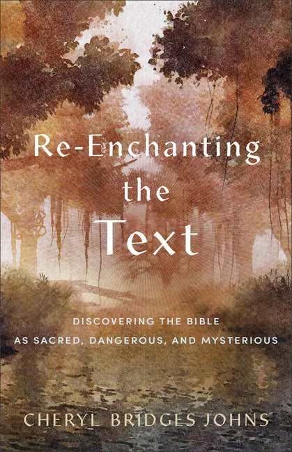 Re-Enchanting the Text: Discovering the Bible as Sacred, Dangerous, and Mysterious - Paperback