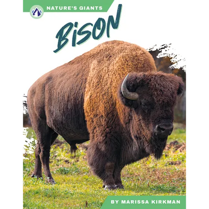 Bison - Paperback