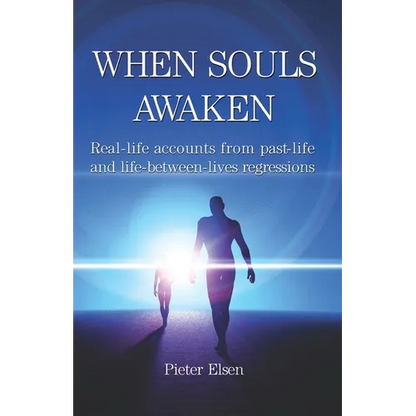 When Souls Awaken: Real-Life Accounts of Past-Life and Life-Between-Lives Regressions - Paperback