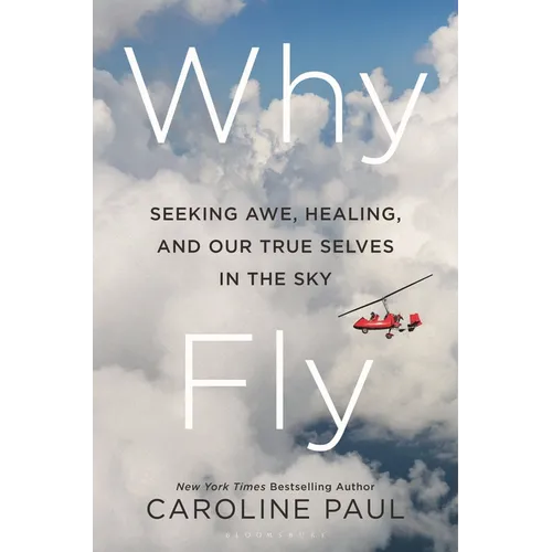 Why Fly: Seeking Awe, Healing, and Our True Selves in the Sky - Hardcover