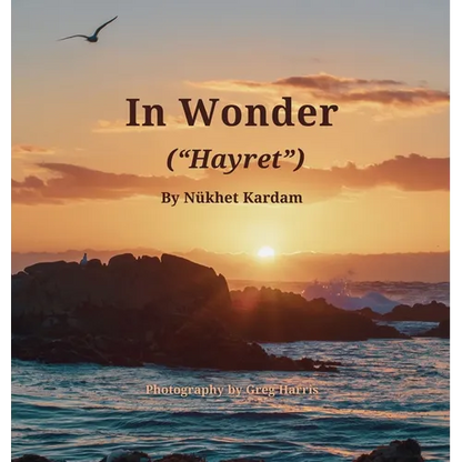 In Wonder ("Hayret") - Hardcover