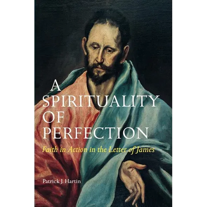 A Spirituality of Perfection: Faith in Action in the Letter of James - Paperback