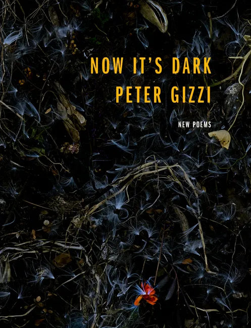 Now It's Dark - Paperback