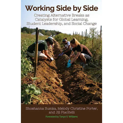 Working Side by Side: Creating Alternative Breaks as Catalysts for Global Learning, Student Leadership, and Social Change - Paperback