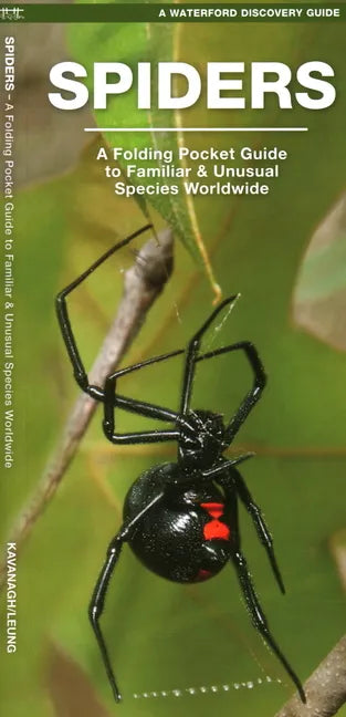 Spiders: A Folding Pocket Guide to Familiar Species Worldwide - Paperback