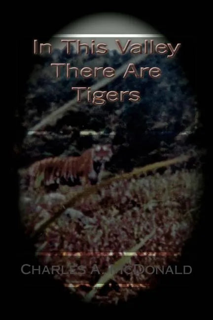 In This Valley There Are Tigers - Paperback