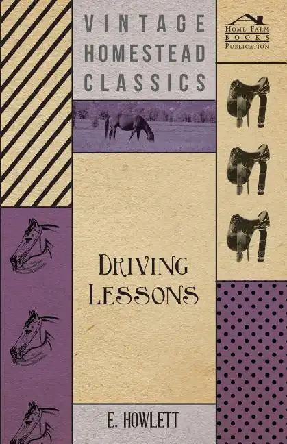 Driving Lessons - Paperback