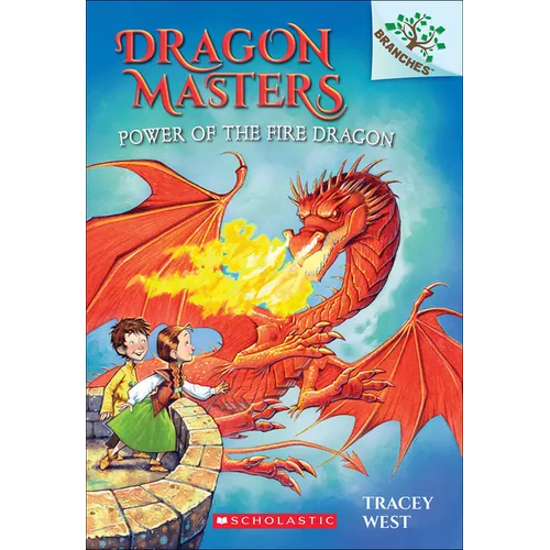 Power of the Fire Dragon - Hardcover