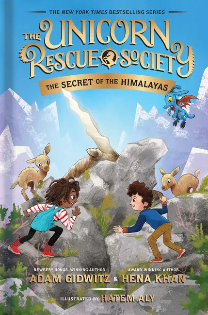 The Secret of the Himalayas - Hardcover