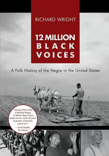 12 Million Black Voices - Paperback