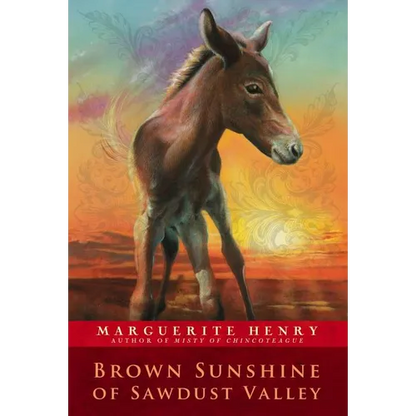 Brown Sunshine of Sawdust Valley - Paperback
