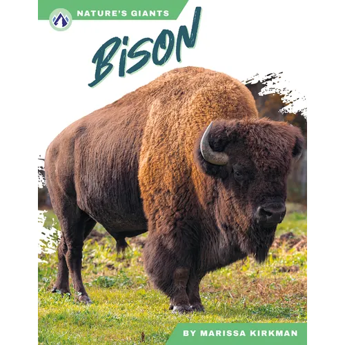 Bison - Paperback