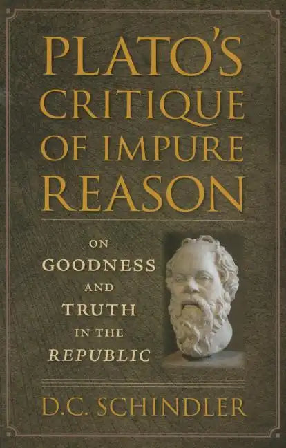 Plato's Critique of Impure Reason: On Goodness and Truth in the Republic - Paperback