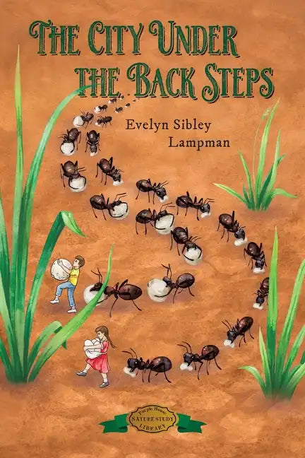 The City Under the Back Steps - Paperback