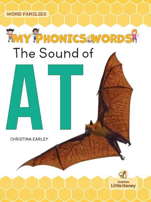 The Sound of at - Paperback