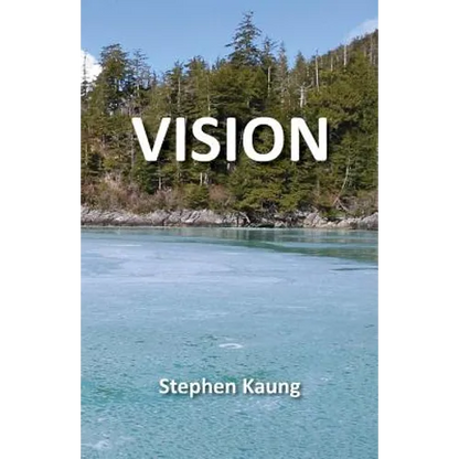 Vision - Paperback
