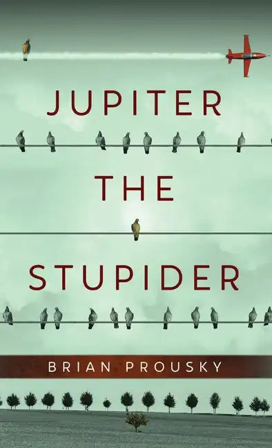 Jupiter the Stupider - Hardcover