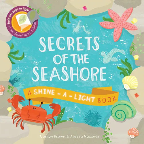 Secrets of the Seashore - Hardcover