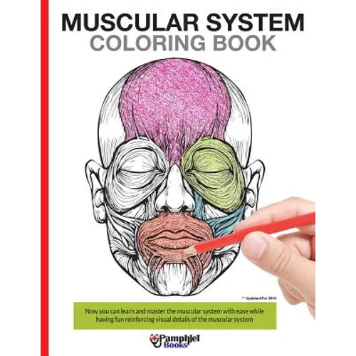 Muscular System Coloring Book: With colored illustrations like what you see on the back page - Paperback