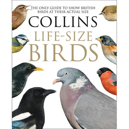 Collins Life-Size Birds: The Only Guide to Show British Birds at Their Actual Size - Hardcover