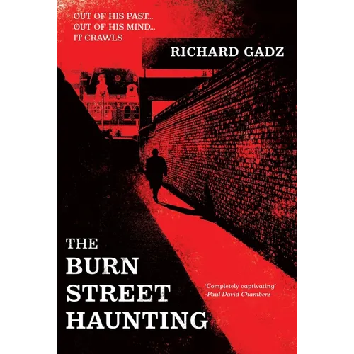 The Burn Street Haunting - Hardcover