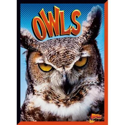 Owls - Paperback